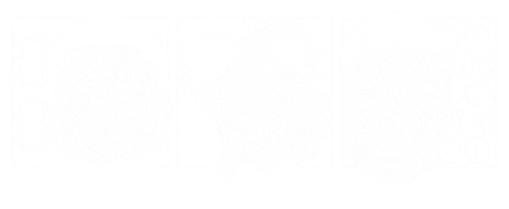 Dzikie Wersy feat. Cezary Ponteffski