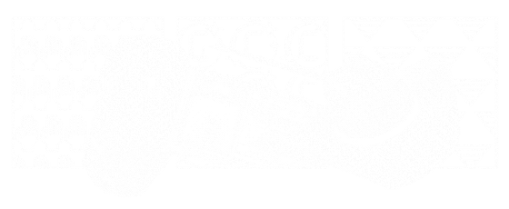 TH Country Band + Rap Zabawa